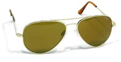 Randolph Concorde Aviator Sunglasses