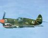 P40 Flying Tiger Aircraft Poster